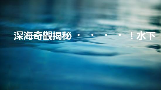 深海奇觀揭秘！水下機(jī)器人探索未知世界，你敢跟隨嗎？